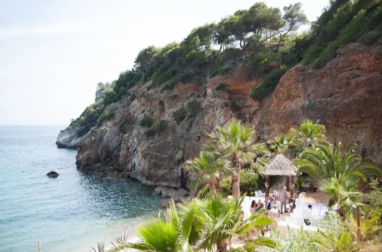 Rocky wooded headland, palms and clear sea below Amante Ibiza