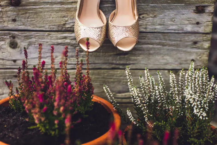 Glitter peep-toe heels on a rustic wooden ledge above potted heather