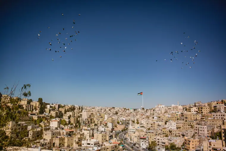 Birds flying over a hillside city with a large flag on the skyline