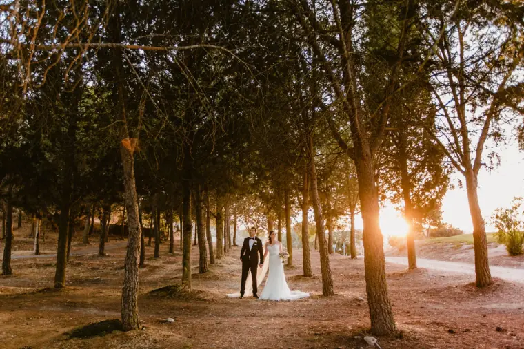 Bride and groom standing in an avenue of trees with sunlight behind
