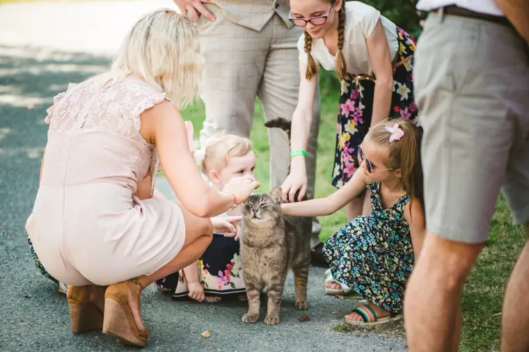 Guests and young girls crouching to stroke a tabby cat