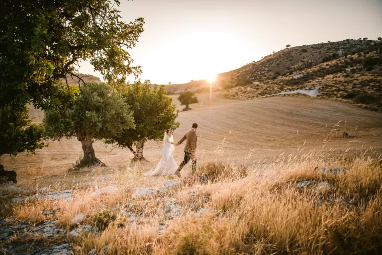 Couple walking through golden grassland beneath an olive tree at sunset