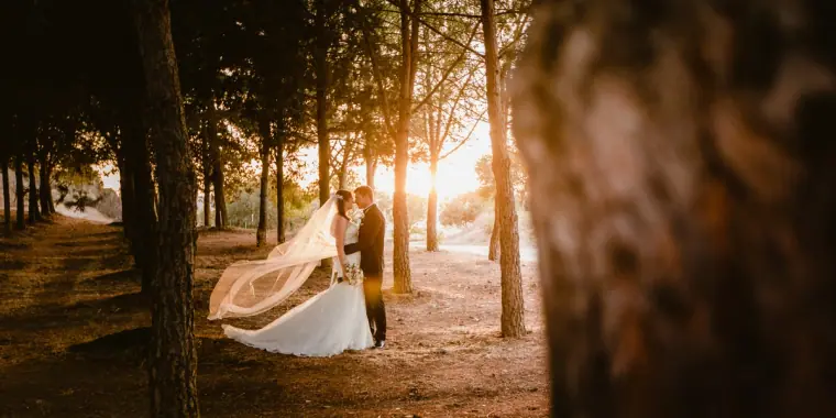 Bride's veil flying as the couple walk through a pine forest in golden backlight