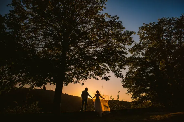 Silhouetted couple holding hands beneath trees at dusk