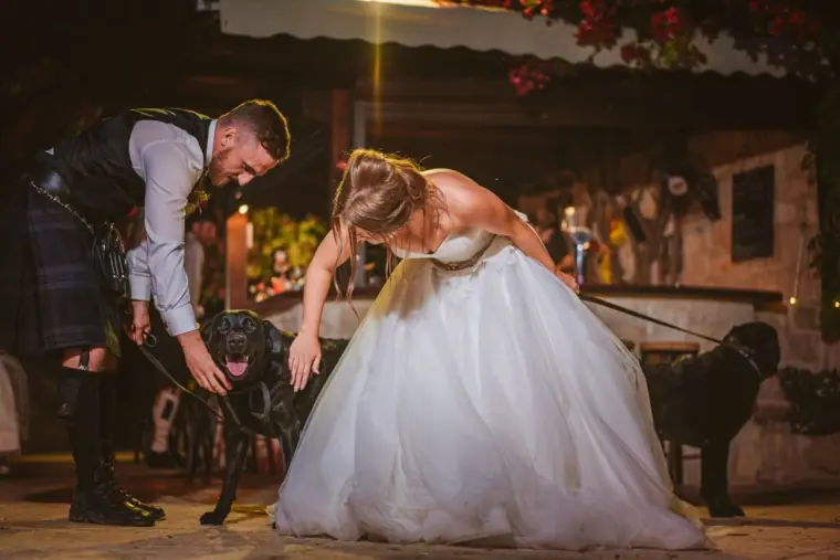 Bride and groom leaning down to pet their black dogs at night