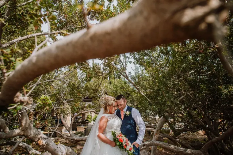 Bride and groom beneath a twisting tree branch at Coral Beach Hotel, Paphos