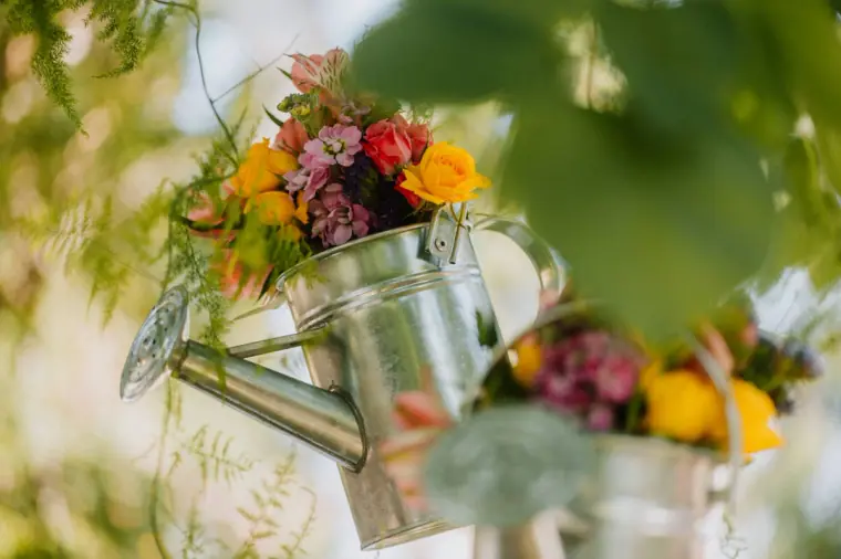 Galvanised watering can filled with bright summer flowers hanging among leaves, Vasilias Nikoklis Inn