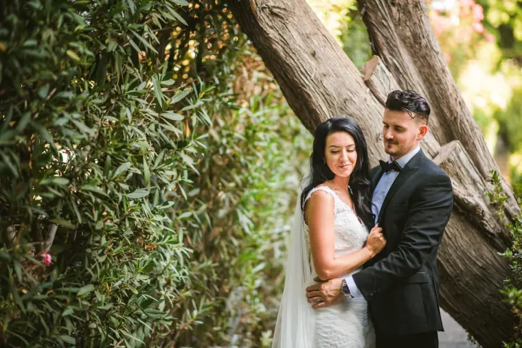 Jaclyn and Steven embracing beneath a leaning tree with lush foliage at Almyra, Paphos