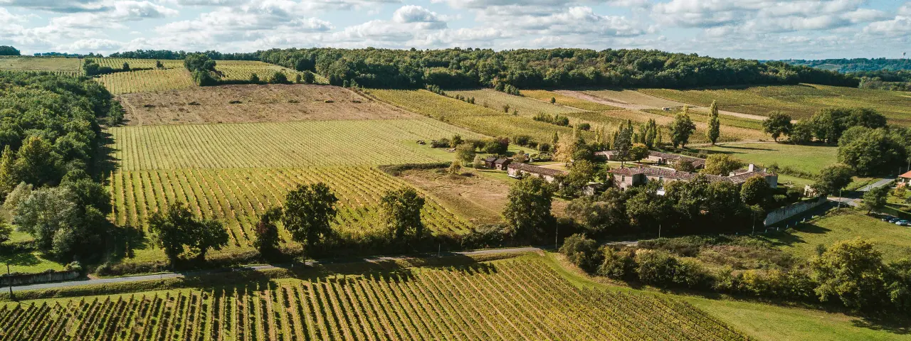 Aerial view of vineyards, woodland and the Chateau Rigaud estate near Bordeaux, France