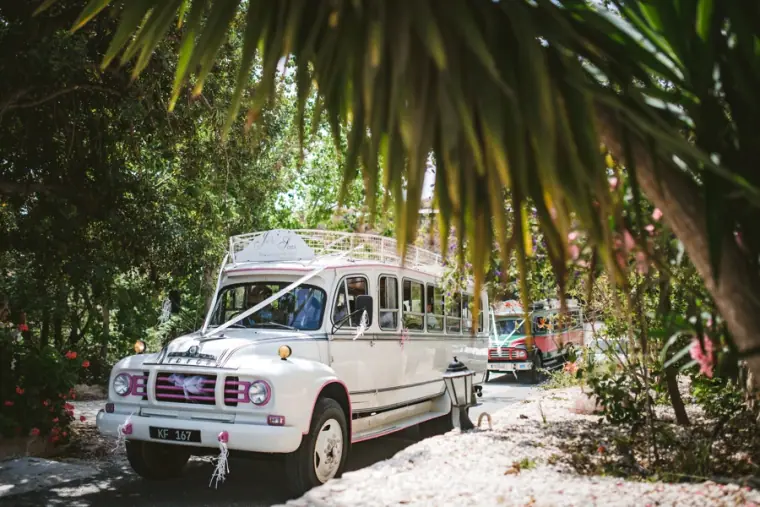 Vintage white wedding bus with ribbons parked under palm trees