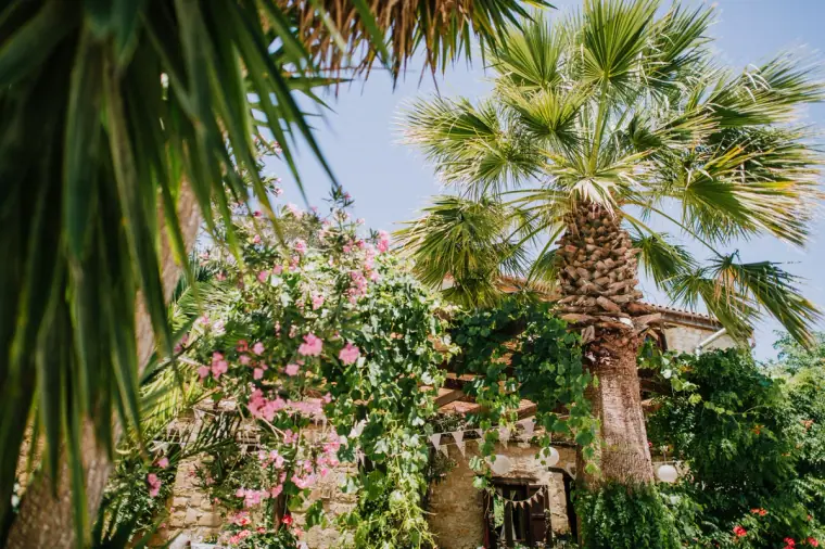 Palm trees and flowering bougainvillea at Vasilias Nikoklis Inn, Paphos