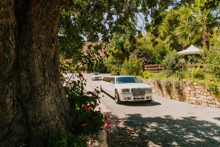 White vintage wedding car arriving along a tree-lined lane at Vasilias Nikoklis Inn