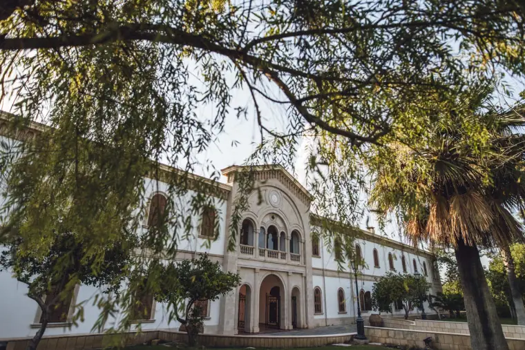 Arcaded white building framed by trees and palms in Nicosia