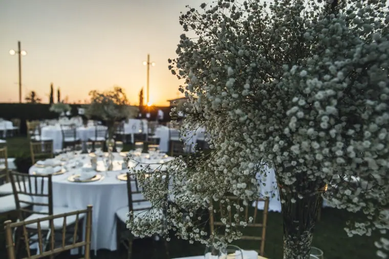 Reception tables beside a tree of white blossom at sunset