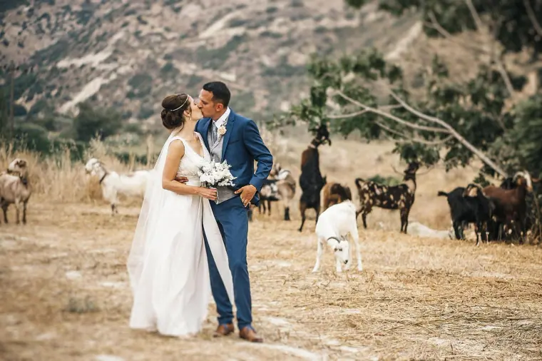 Donna and Byron kissing in a dry meadow with goats around them