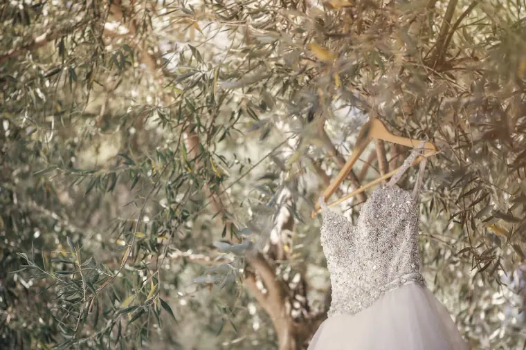 Beaded wedding dress hanging from an olive tree branch