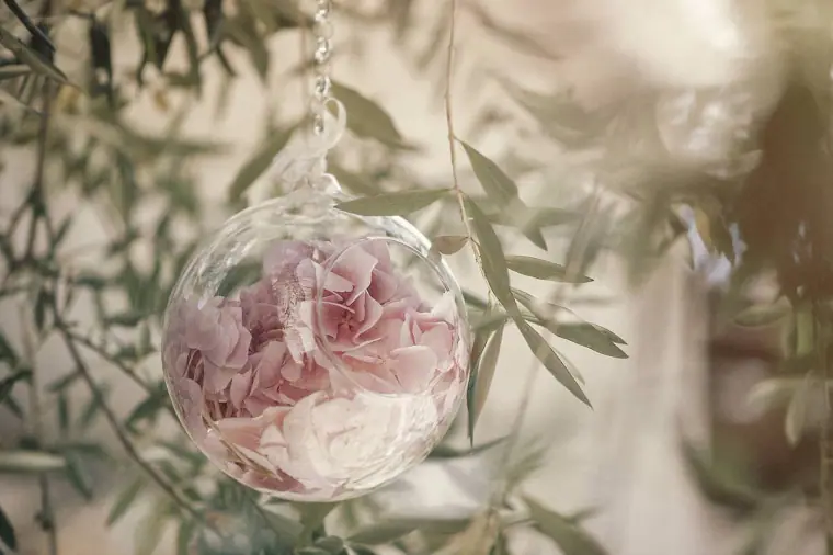 Glass bauble filled with pink hydrangea petals hanging among olive leaves