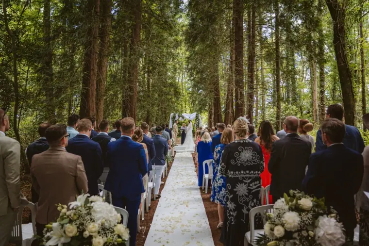 Guests filling the forest aisle as the ceremony begins among tall pines