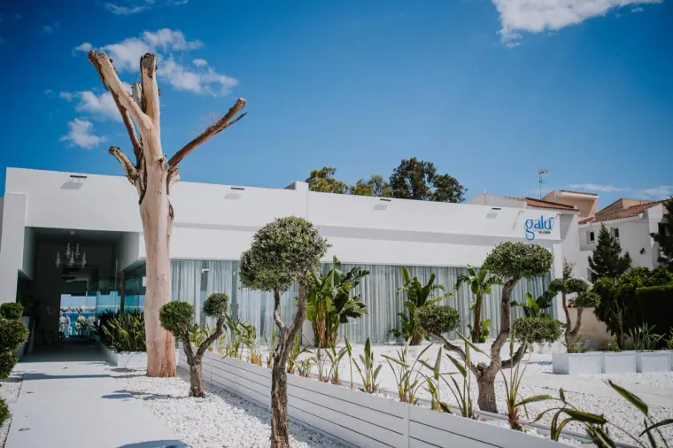 Whitewashed Galu Seaside building with sculpted olive trees under a blue sky