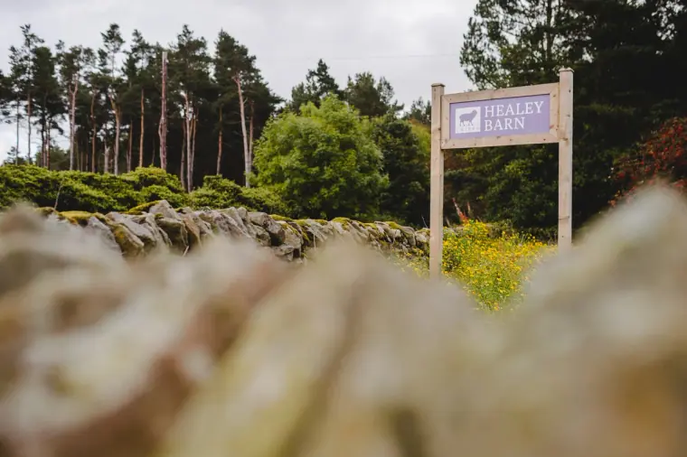Healey Barn sign at the entrance beside a dry stone wall and pine trees