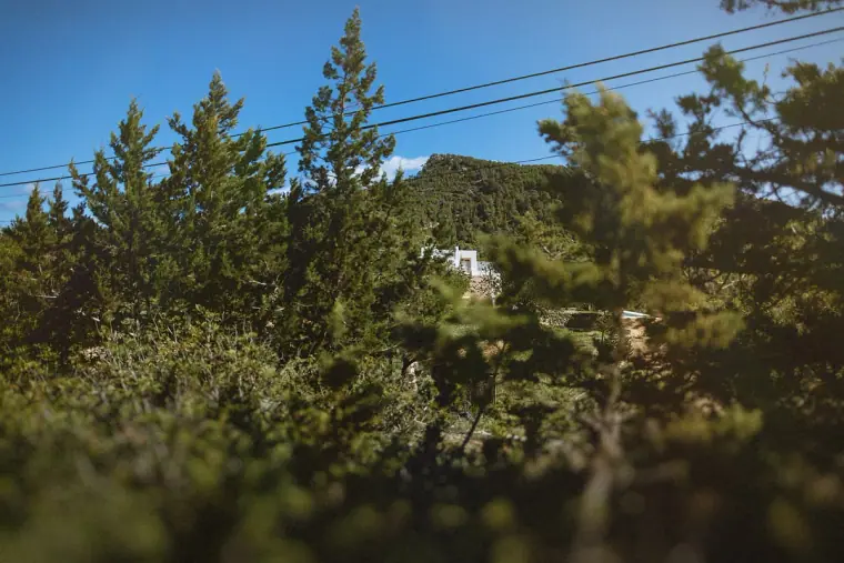 Pine trees and wooded hills under a blue Ibiza sky