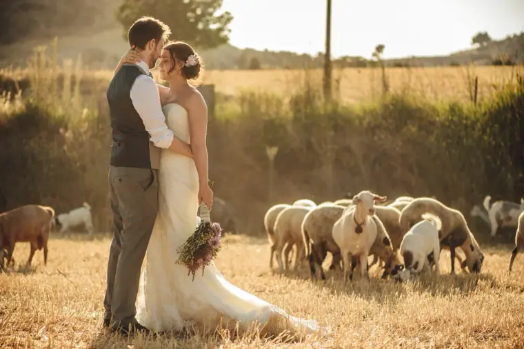Bride and groom embracing in a dry field beside a flock of sheep at Vasilias Inn, Paphos