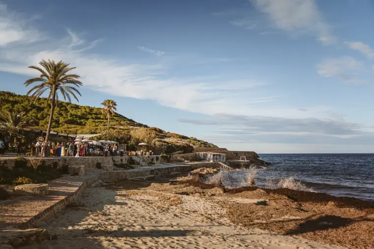 Palm tree and rocky headland along the sandy shoreline at La Escollera, Ibiza