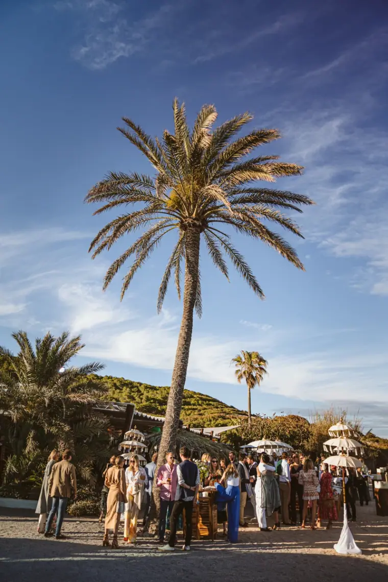 Tall palm tree against a blue sky above guests gathering outside La Escollera, Ibiza