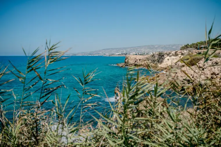 Turquoise sea and rocky coastline seen through reeds near Laura Beach Hotel, Paphos