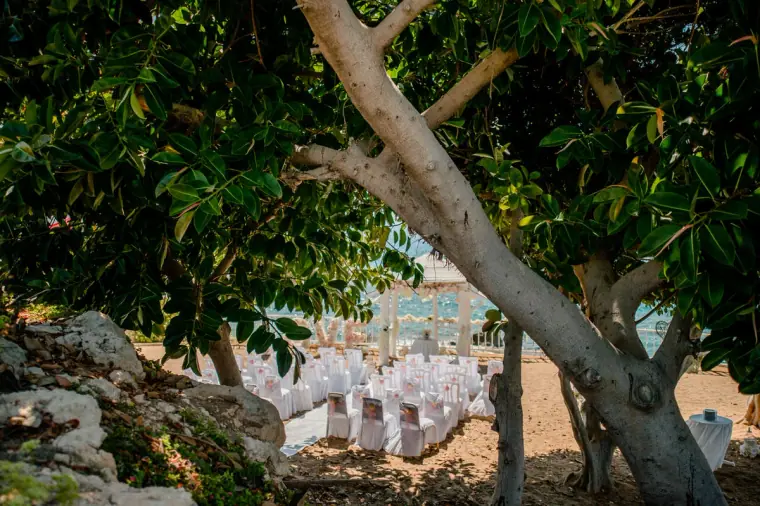 Ceremony chairs with white covers set on the sand, seen beneath a tree at Laura Beach Hotel