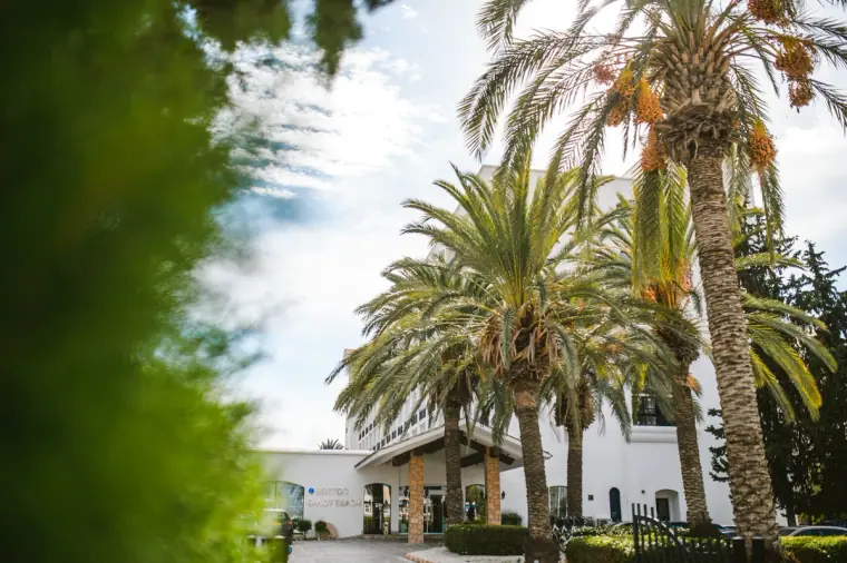 Tall palm trees in front of a white hotel building under a blue sky