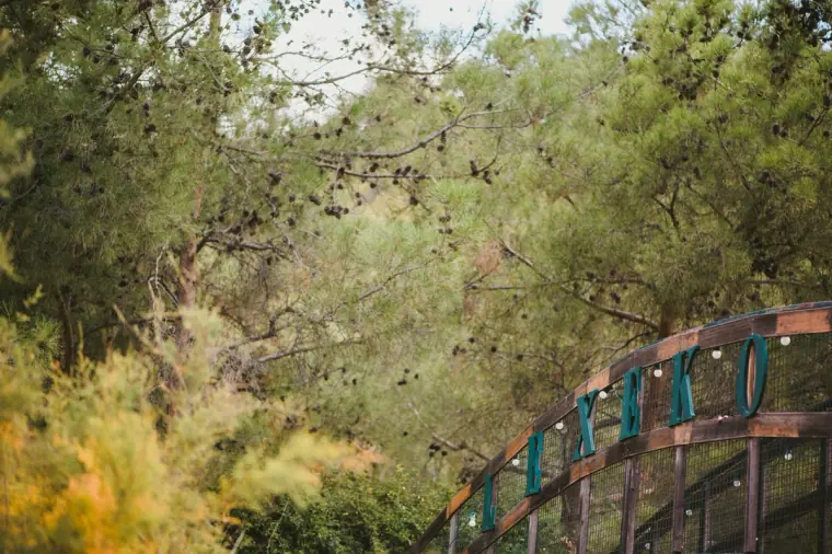 Wooden footbridge with the Lexeko name among trees at Lexeko Estate, Cyprus