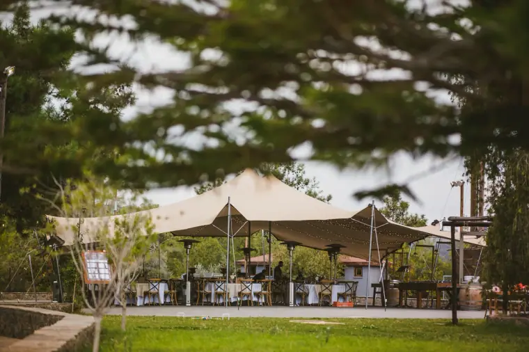Stretch tent reception area set up on the lawn among pine trees at Lexeko Estate, Cyprus