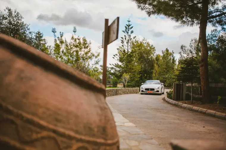 White car arriving down a tree-lined drive past a terracotta pot