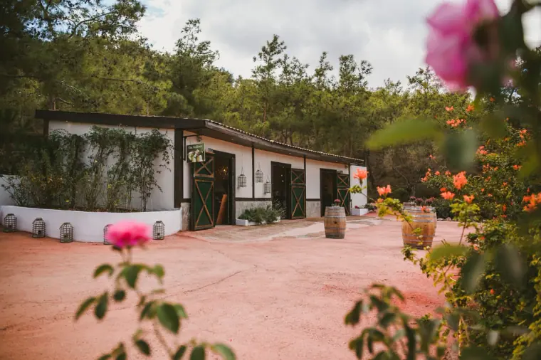 Whitewashed stable buildings with pink flowers in the foreground at Lexeko Estate, Cyprus