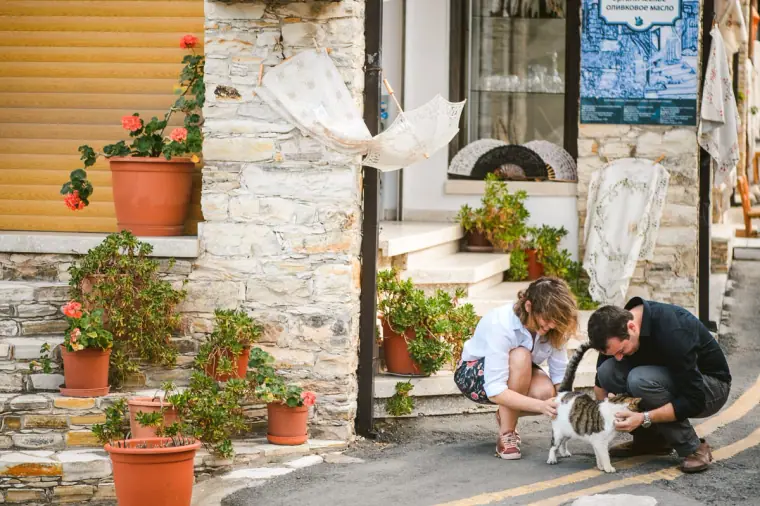 Couple crouching to stroke a cat by potted geraniums on stone steps