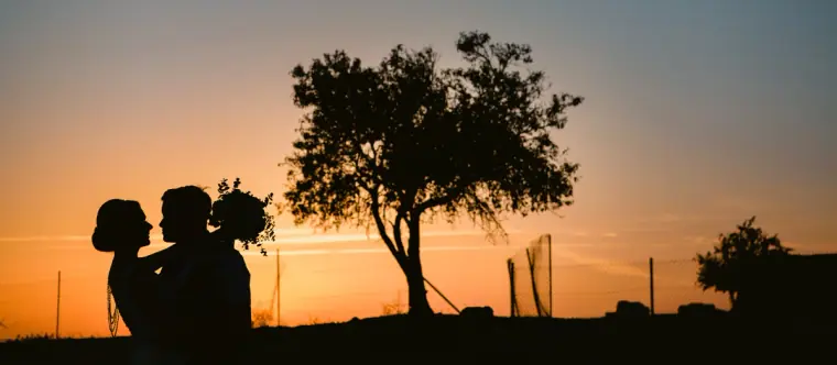 Silhouette of the couple embracing beside an olive tree against an orange sunset