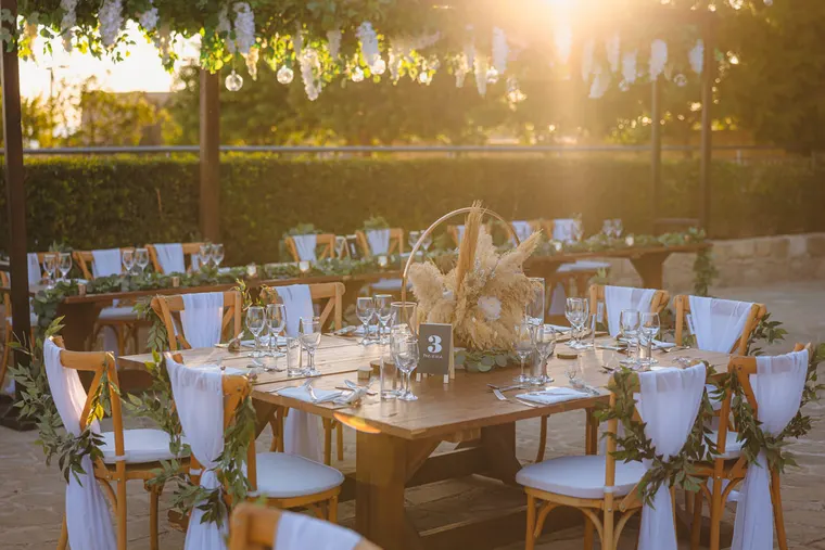 Reception tables with pampas centrepieces and draped chairs in golden light at Liopetro