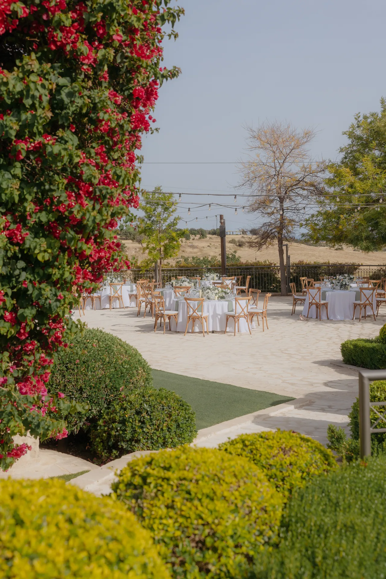 Garden path past bougainvillea to reception tables on the terrace at Liopetro, Kouklia