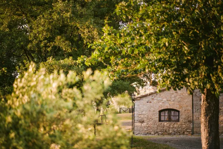 Old stone building glimpsed through sunlit trees at Livernano Estate, Tuscany
