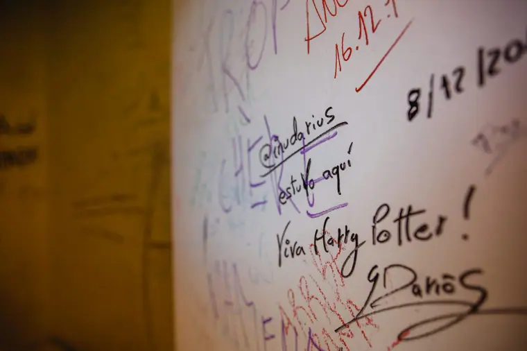 Close-up of graffiti on a washroom wall, including a "Viva Harry Potter" message