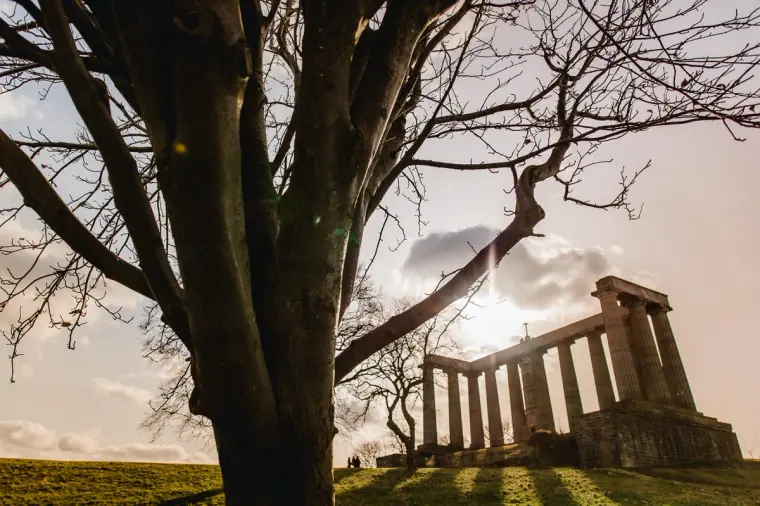 National Monument columns on Calton Hill beside a large bare tree at sunset