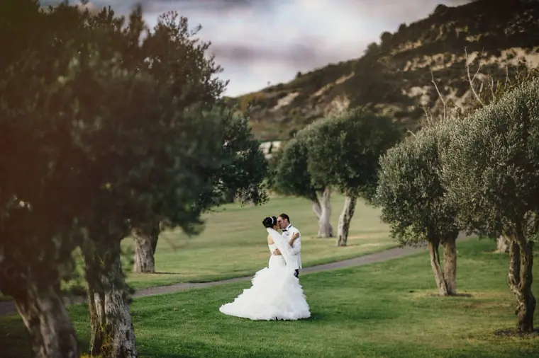 Couple embracing on the green lawn among olive trees and hills, Minthis Hills