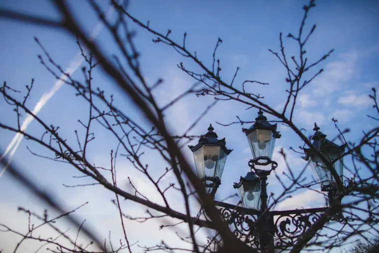 Ornate lamp posts and bare branches against a blue autumn sky