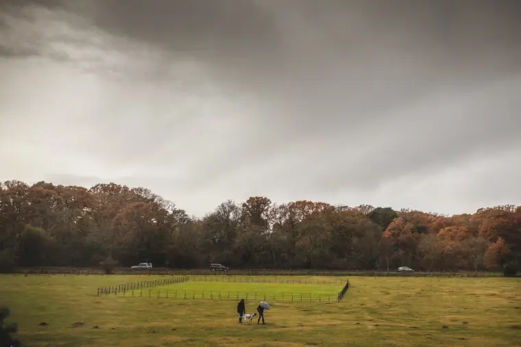 People walking across a wide open field towards autumn woodland under grey skies