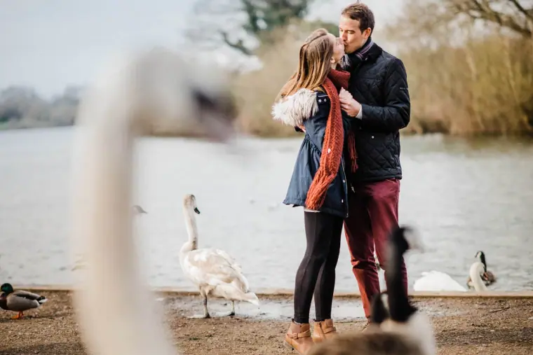 Couple holding each other on the lakeshore with swans and geese nearby