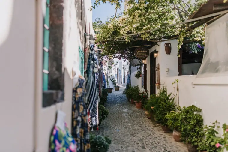 Narrow cobbled alley lined with plants and hanging souvenirs in Santorini