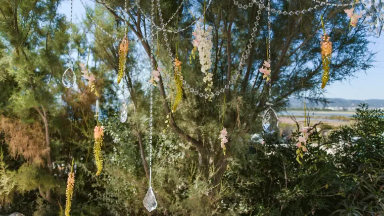 Crystals and dried flowers hanging from a tree above the sea