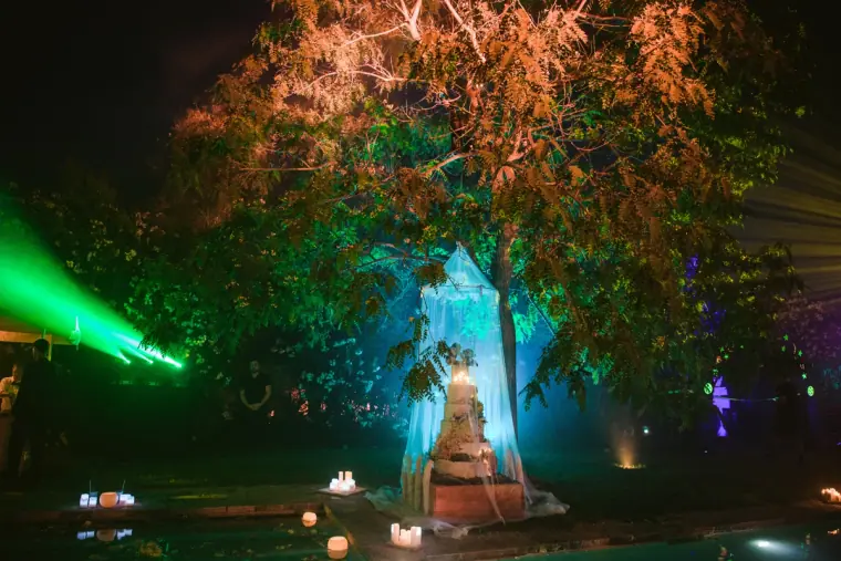 Tiered wedding cake glowing beneath a tree lit with green and orange lights