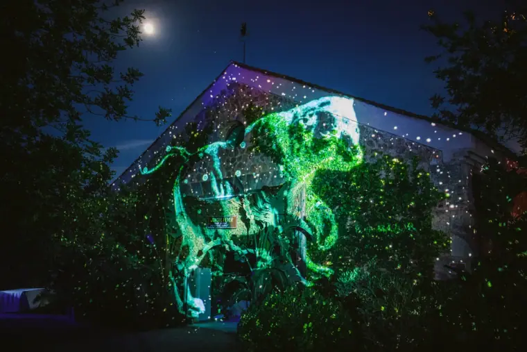 Green laser projection of an animal across a building at night